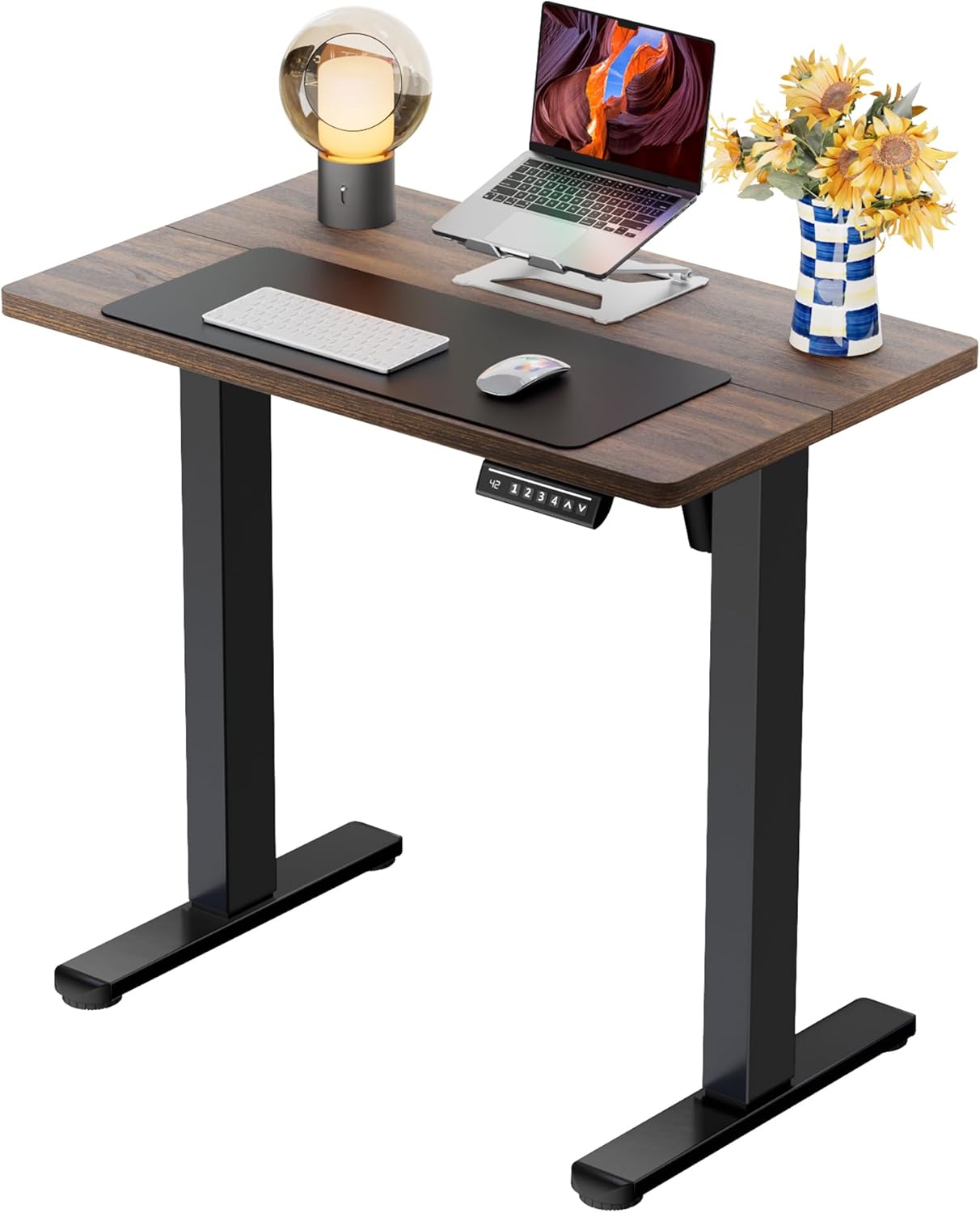 ErGear Height Adjustable Electric Standing Desk, 47.2 x 23.6 Inches Sit Stand up Desk, Memory Computer Home Office Desk (Black)