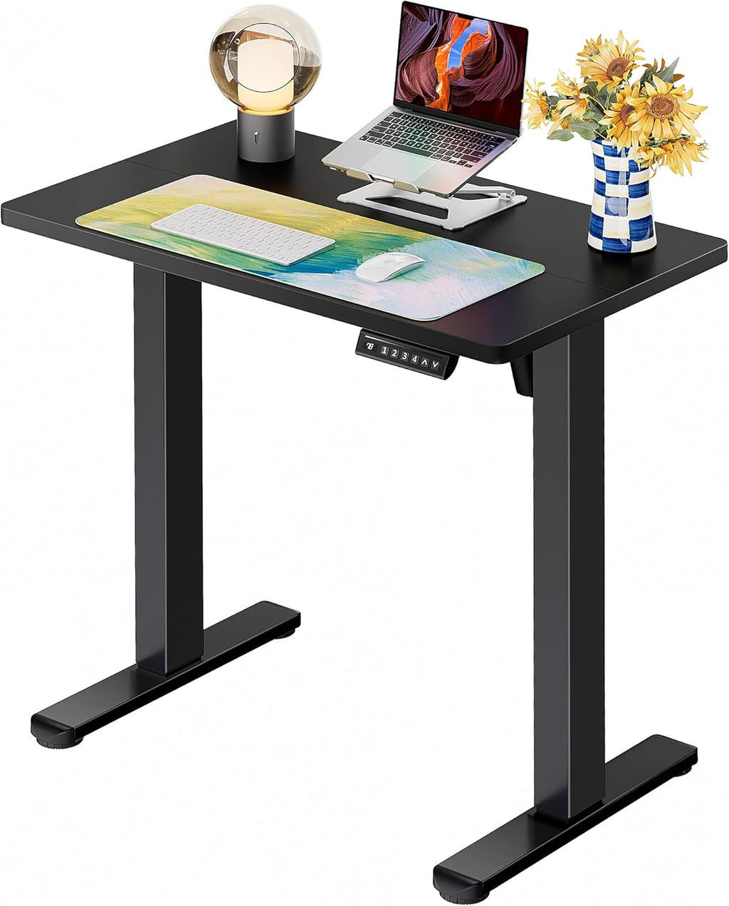 ErGear Height Adjustable Electric Standing Desk, 47.2 x 23.6 Inches Sit Stand up Desk, Memory Computer Home Office Desk (Black)