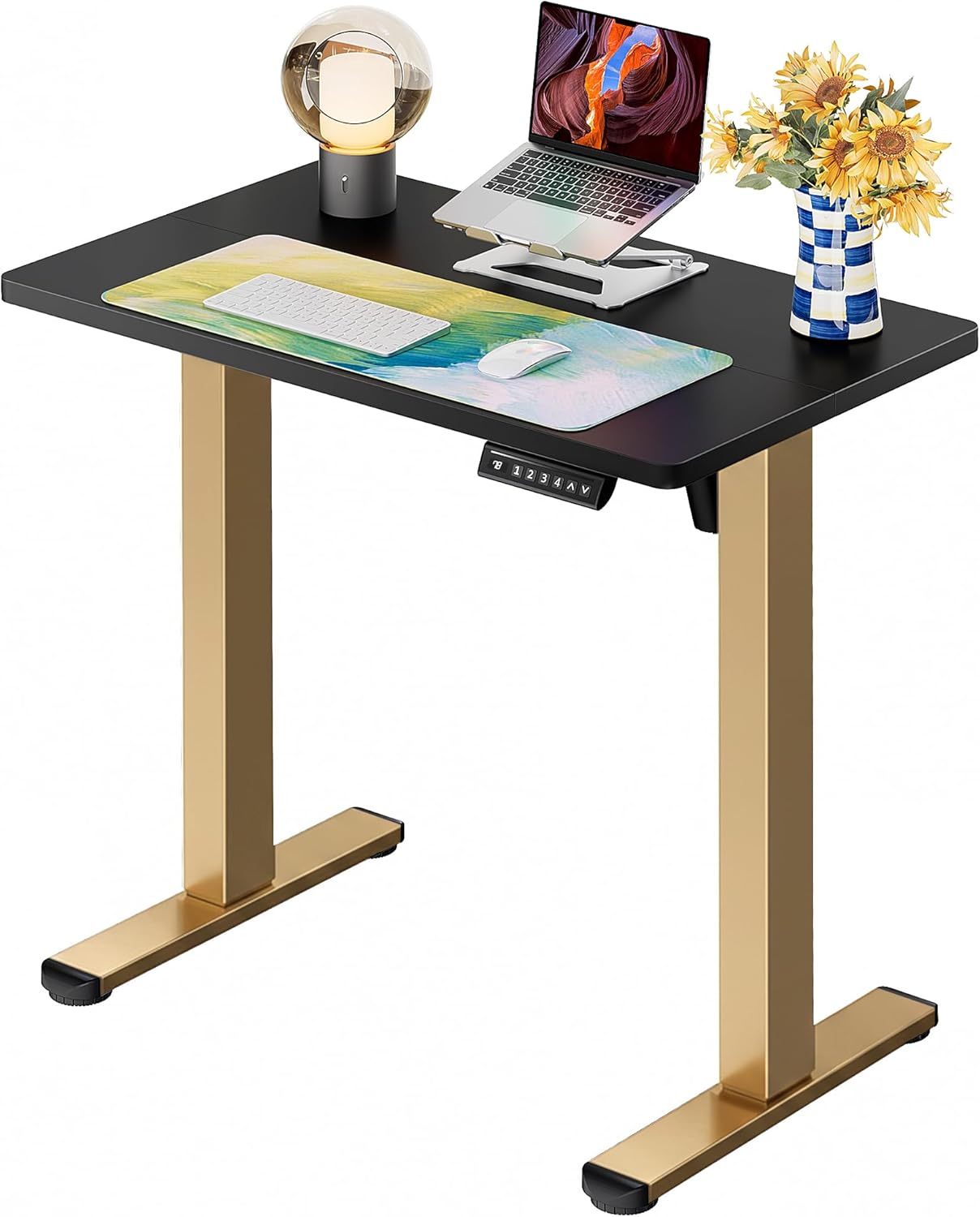 ErGear Height Adjustable Electric Standing Desk, 47.2 x 23.6 Inches Sit Stand up Desk, Memory Computer Home Office Desk (Black)