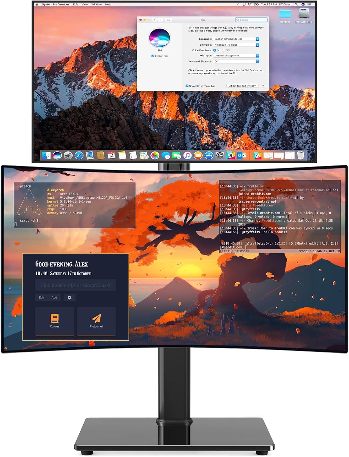 Single Monitor Stand VESA Mount for 13-32 Inch Screens, Free-Standing Monitor Riser with Swivel Tilt Rotation Height Adjustable, Universal Desk Stand up to 44lbs, VESA 75x75, 100x100mm