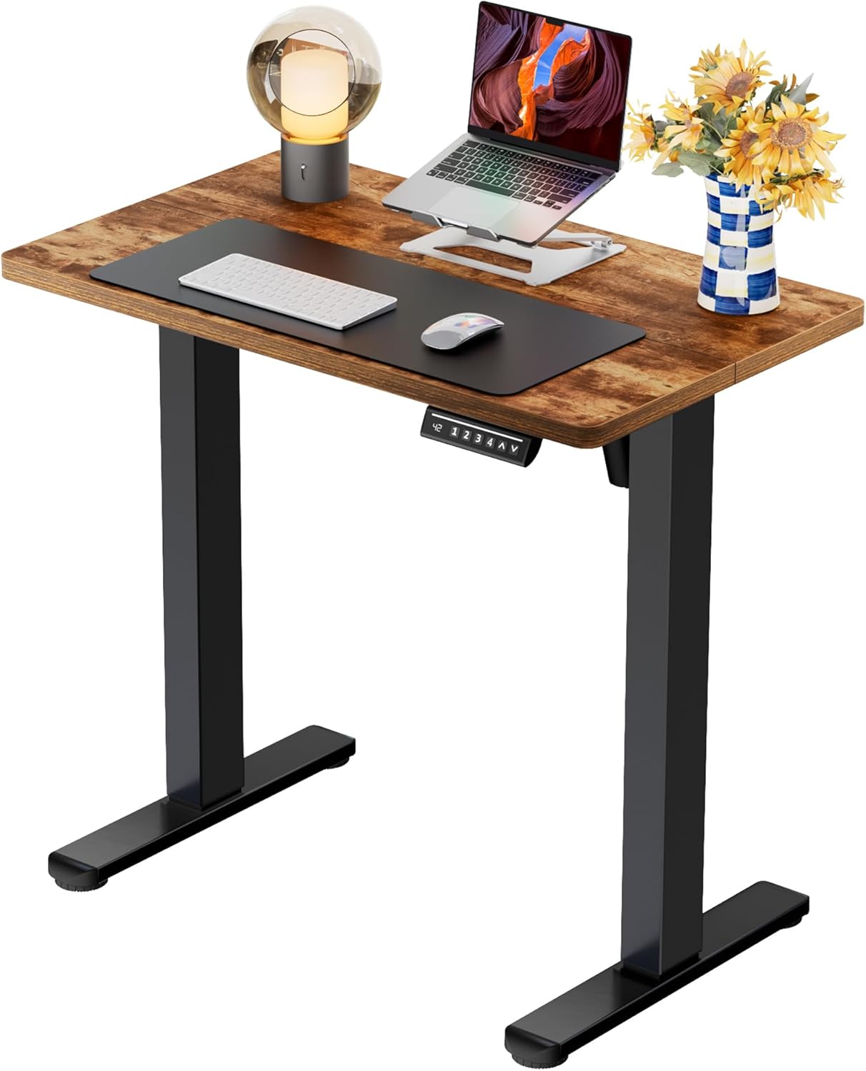 ErGear Height Adjustable Electric Standing Desk, 47.2 x 23.6 Inches Sit Stand up Desk, Memory Computer Home Office Desk (Black)