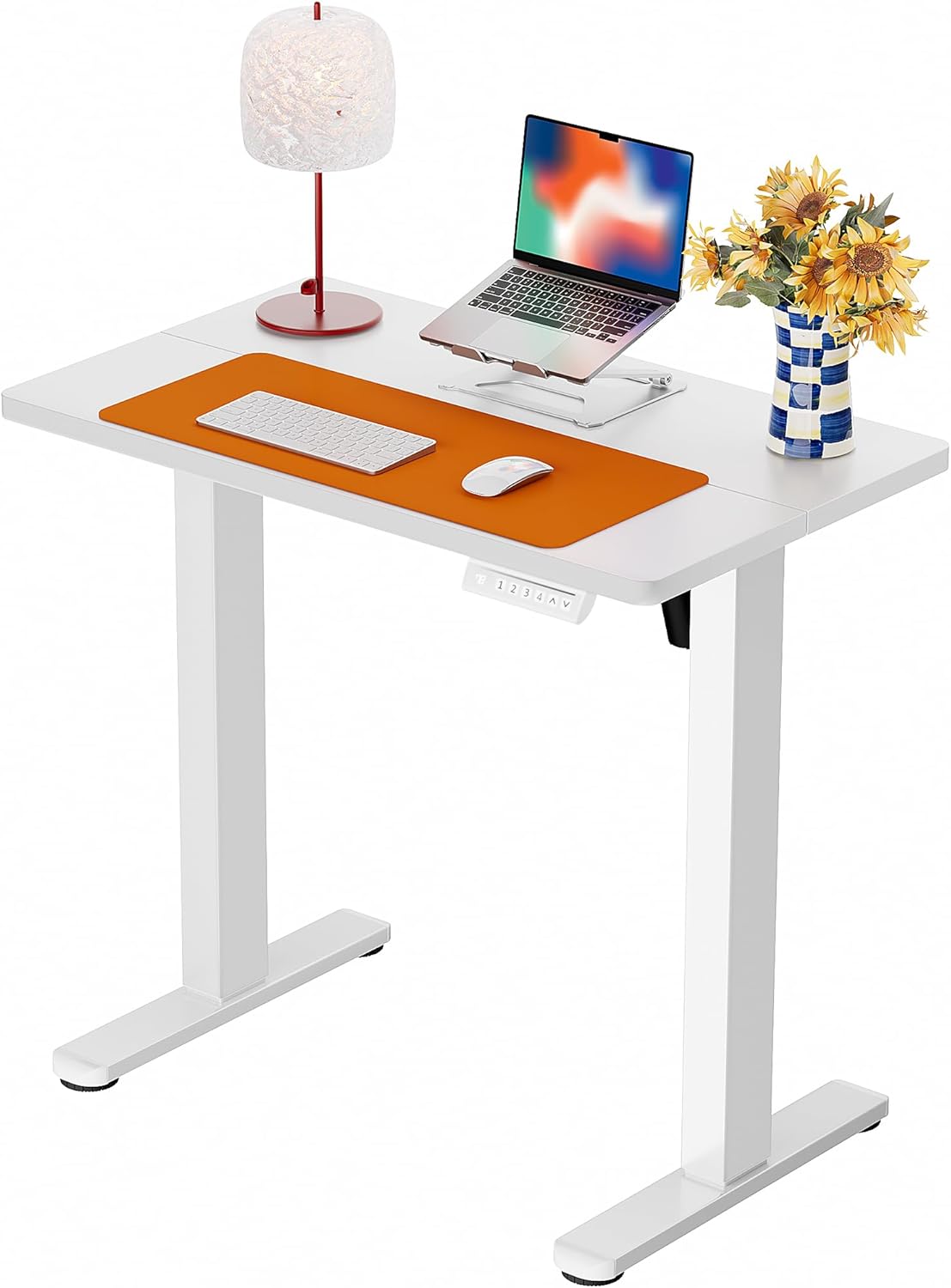 ErGear Height Adjustable Electric Standing Desk, 47.2 x 23.6 Inches Sit Stand up Desk, Memory Computer Home Office Desk (Black)